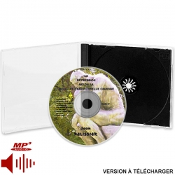 CD Gestion des Émotions en MTC (1ère partie, version téléchargeable), réalisé par Jean Pélissier.